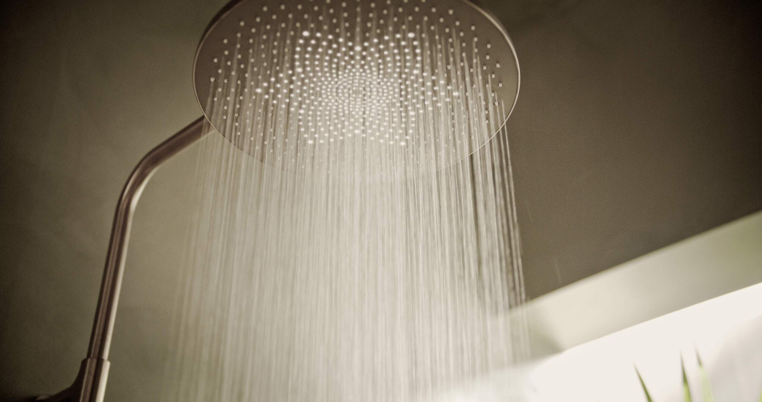 HANSA präsentiert die Regendusche mit rundem Kopf aus gebürsteter Bronze der Serie Aurelia, deren Düsen die Form einer Blume haben.