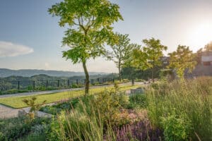 Eine Aussichtsplattform, von der aus man auf eine wilden, üppig bewachsenen Garten blickt — von Prachtgarten.