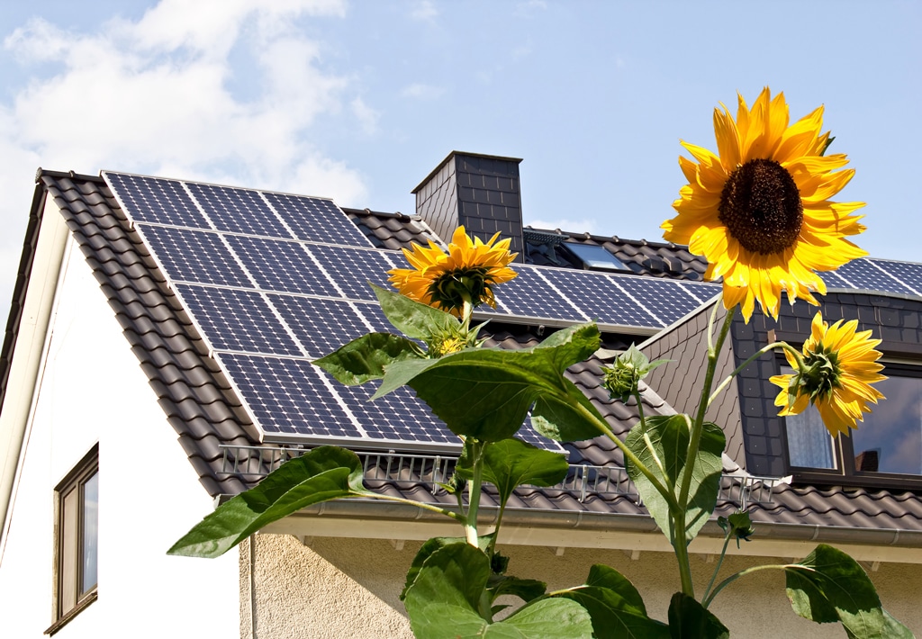 Saniton zeigt eine Photovoltaikanlage, welche Strom durch Sonne erzeugt und diesen direkt ins Haus bringt.