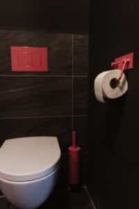 VOLA zeigt ein dunkel verfliestes WC mit rosa farbenen Spültasten, Klopapierhalter und Klobesenhalter.