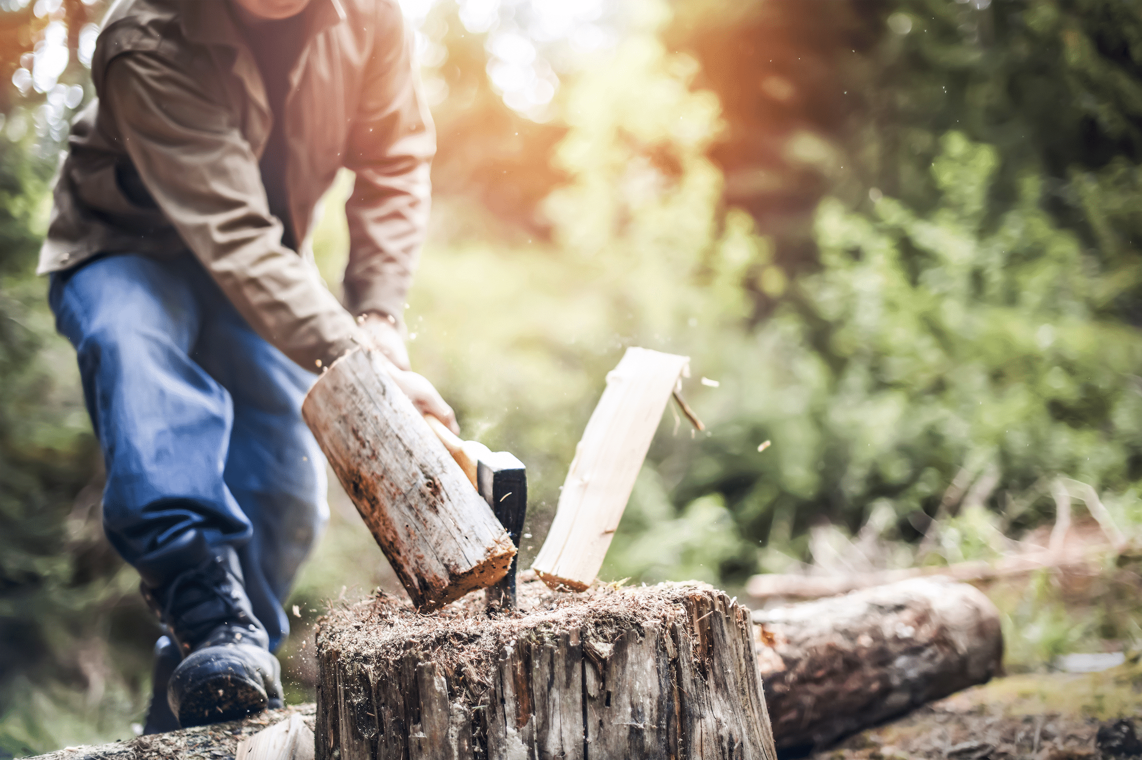 Man hackt im Wald mit einer Axt ein Holzscheit auf einem Baumstamm.