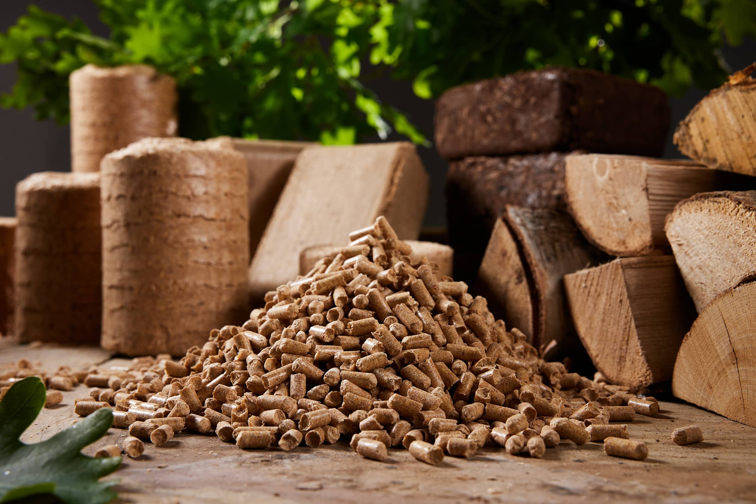 Detailansicht von Brennstoff-Pellets und Briketts mit geschnittenen Baumstämmen.